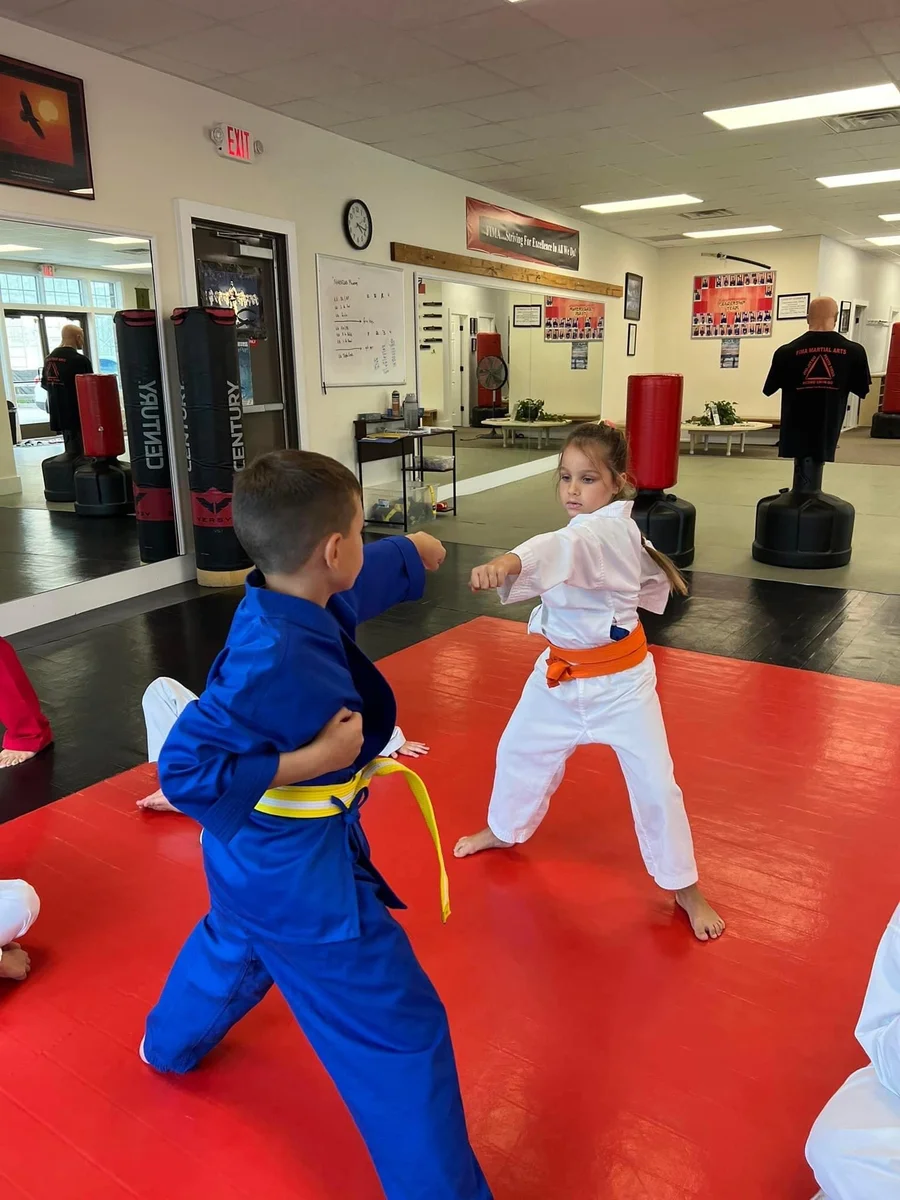 Faustini's Institute of Martial Arts and Fitness (Faustini's) academy photo