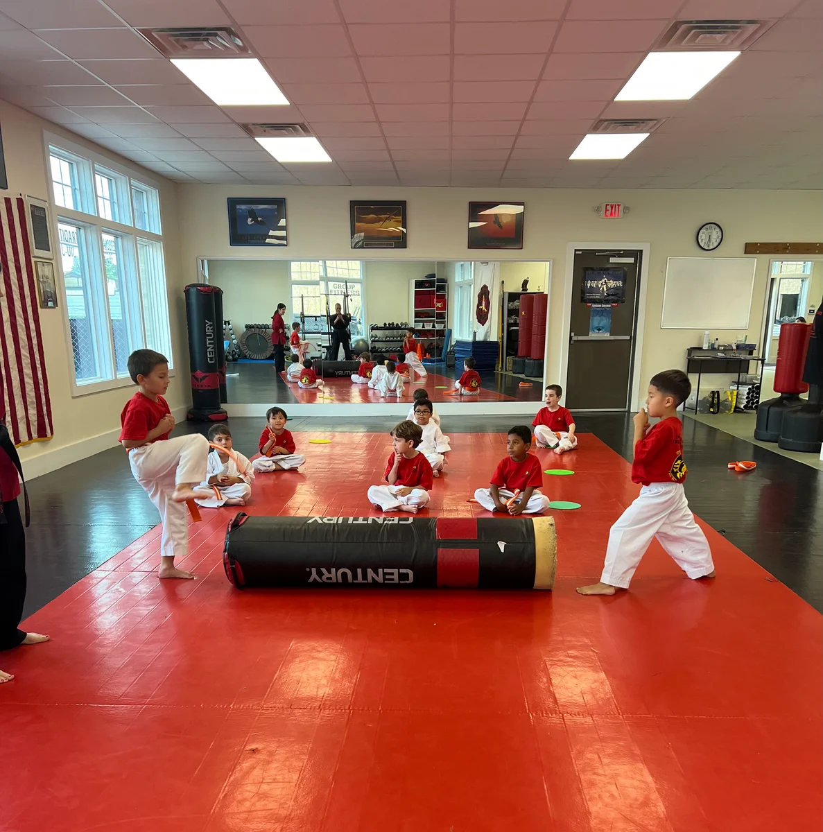 Faustini's Institute of Martial Arts and Fitness (Faustini's) academy photo