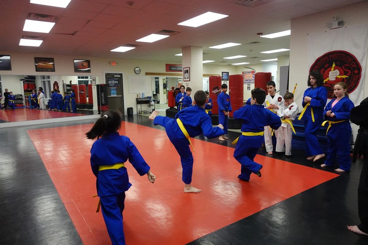 Faustini's Institute of Martial Arts and Fitness (Faustini's) academy photo