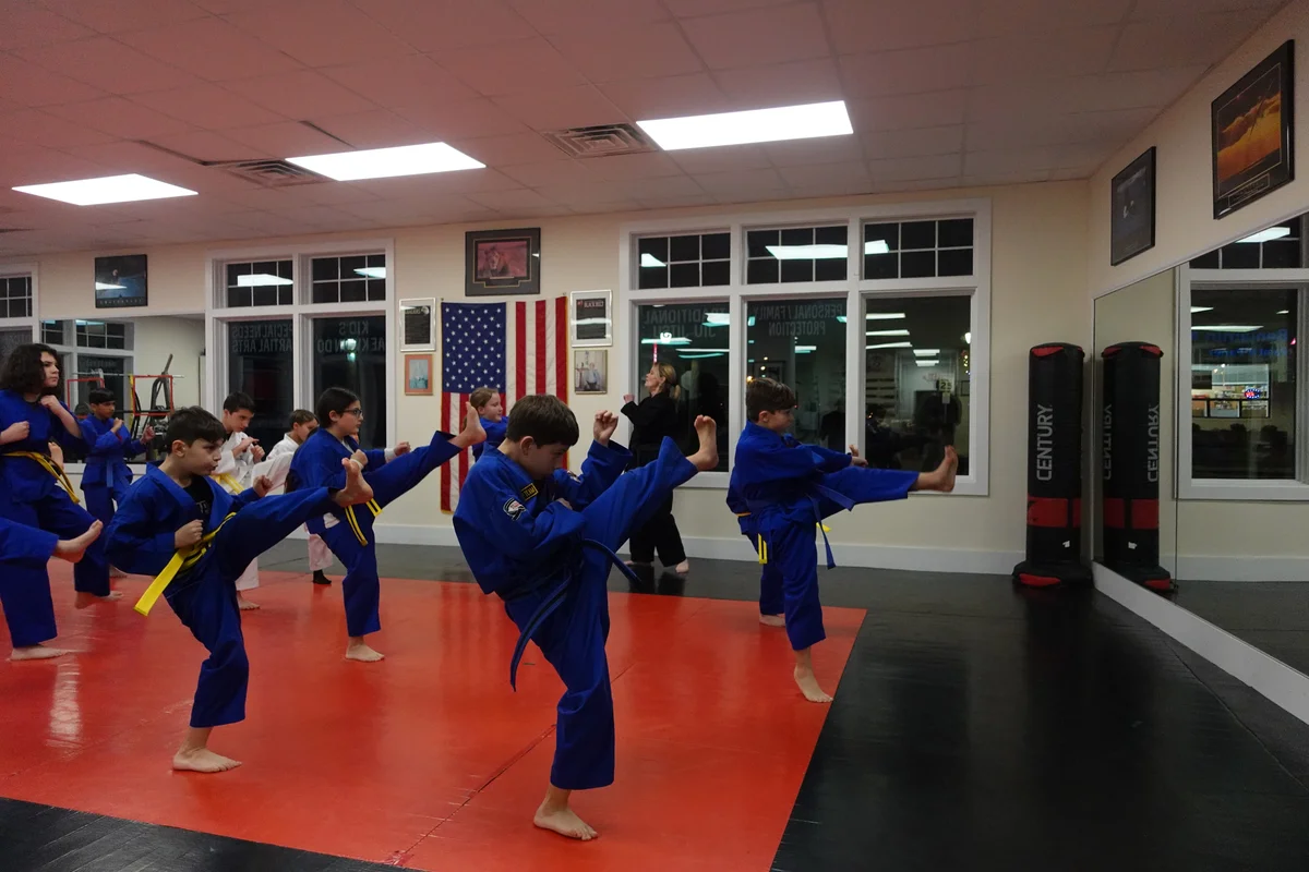 Faustini's Institute of Martial Arts and Fitness (Faustini's) academy photo