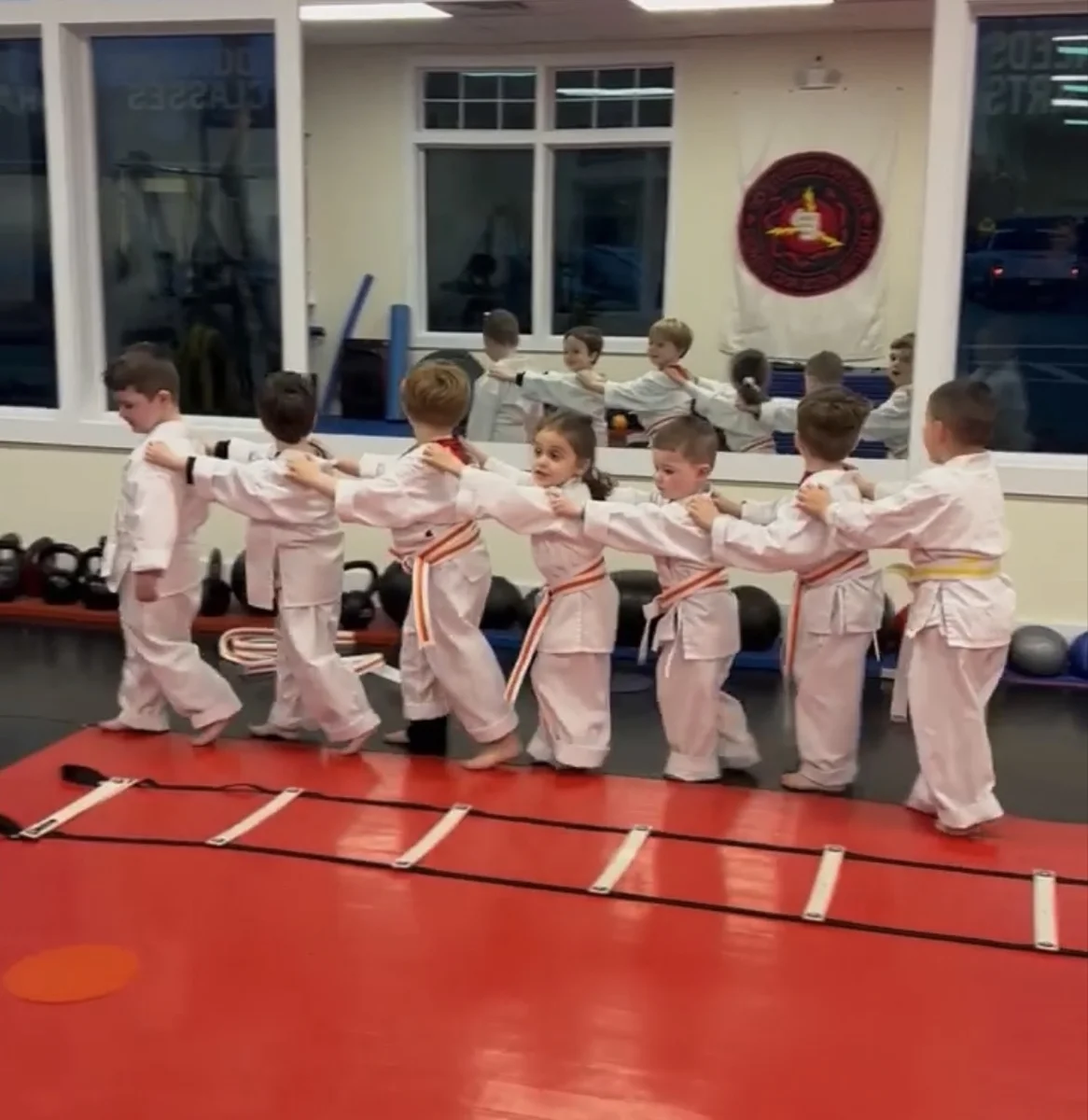Faustini's Institute of Martial Arts and Fitness (Faustini's) academy photo