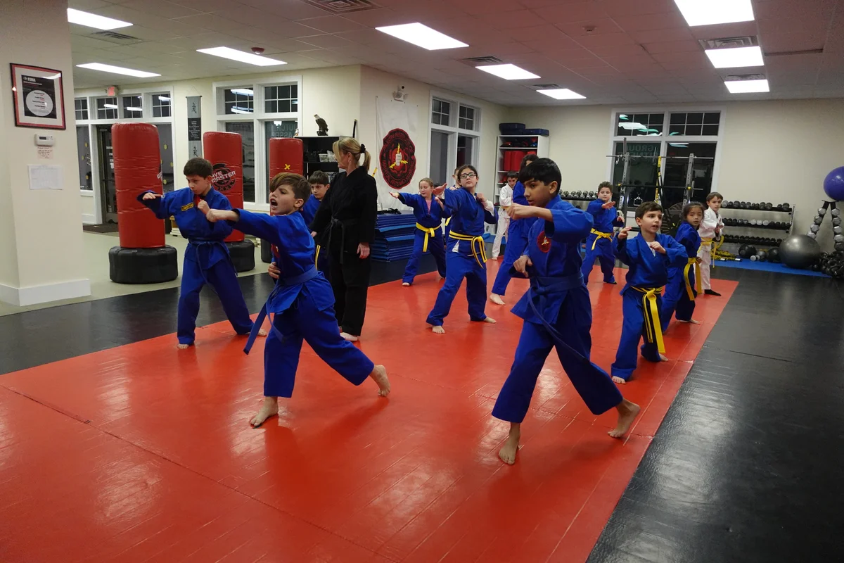 Faustini's Institute of Martial Arts and Fitness (Faustini's) academy photo