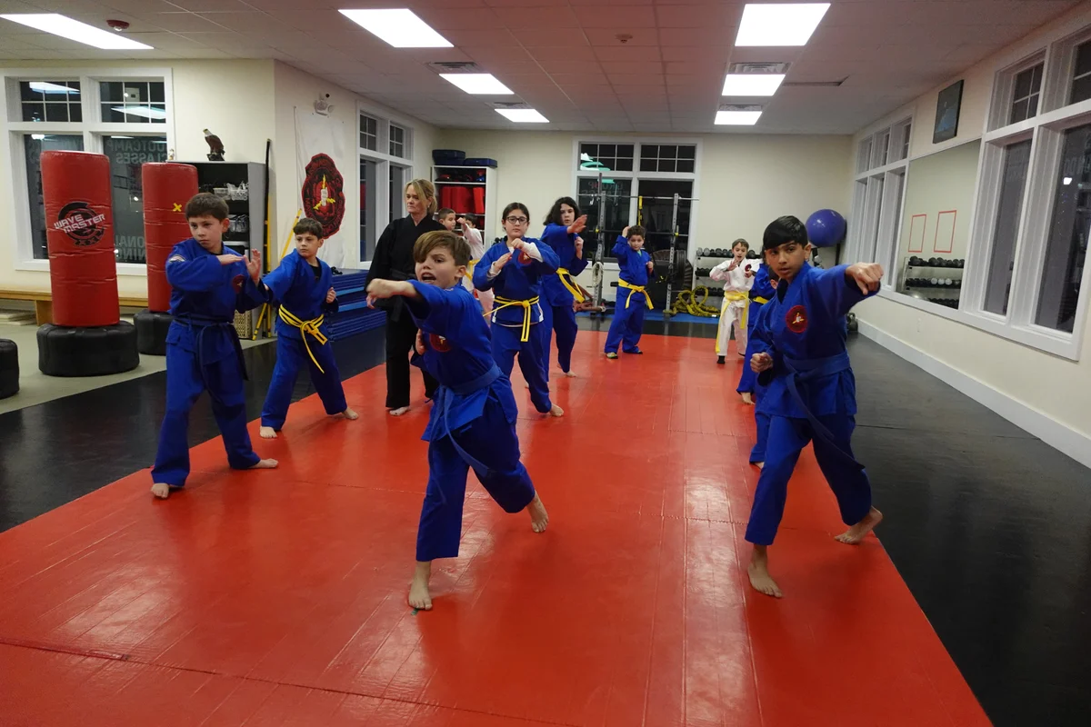 Faustini's Institute of Martial Arts and Fitness (Faustini's) academy photo