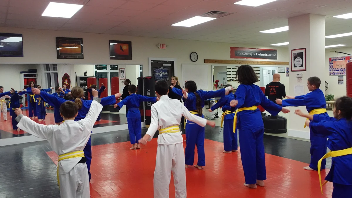 Faustini's Institute of Martial Arts and Fitness (Faustini's) academy photo