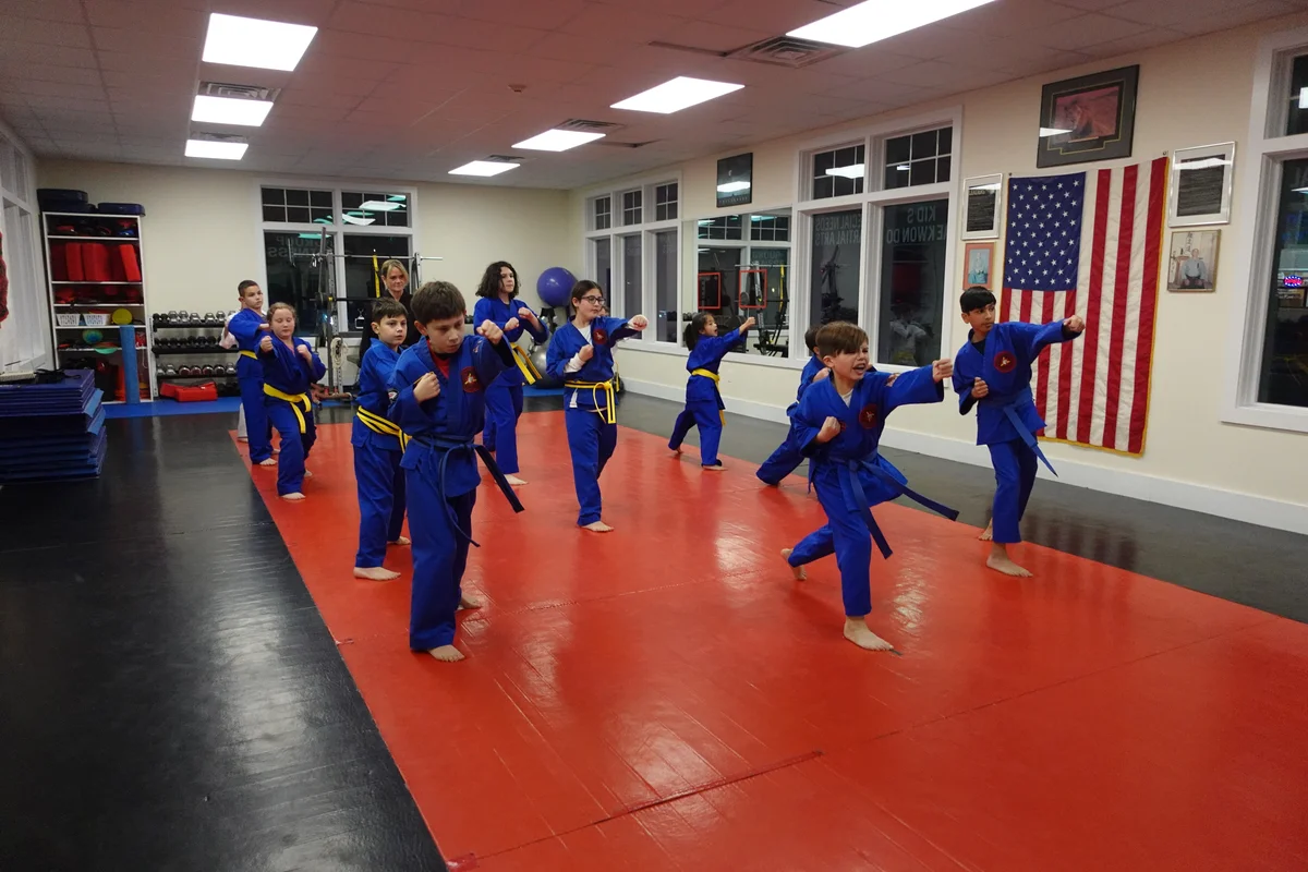 Faustini's Institute of Martial Arts and Fitness (Faustini's) academy photo