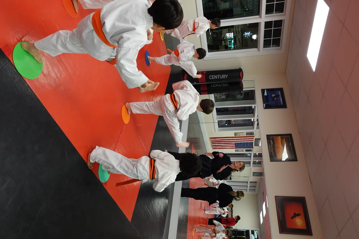 Faustini's Institute of Martial Arts and Fitness (Faustini's) academy logo