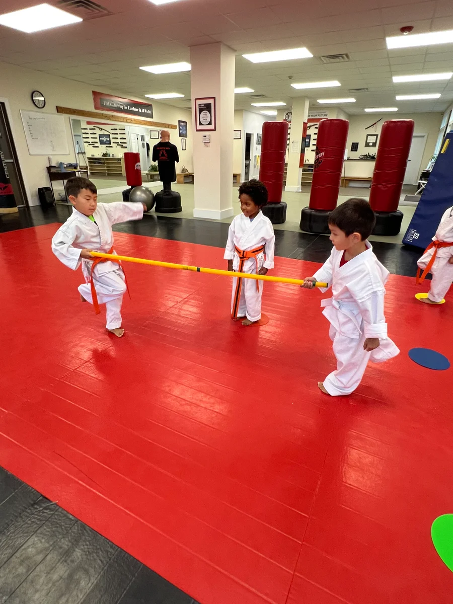 Faustini's Institute of Martial Arts and Fitness (Faustini's) academy photo