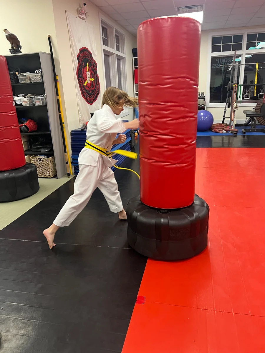 Faustini's Institute of Martial Arts and Fitness (Faustini's) academy photo