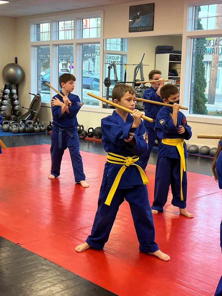 Faustini's Institute of Martial Arts and Fitness (Faustini's) academy photo