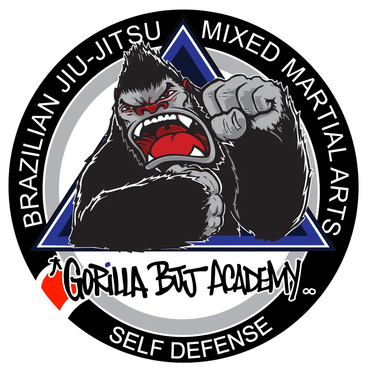GORILLA BJJ ACADEMY academy photo