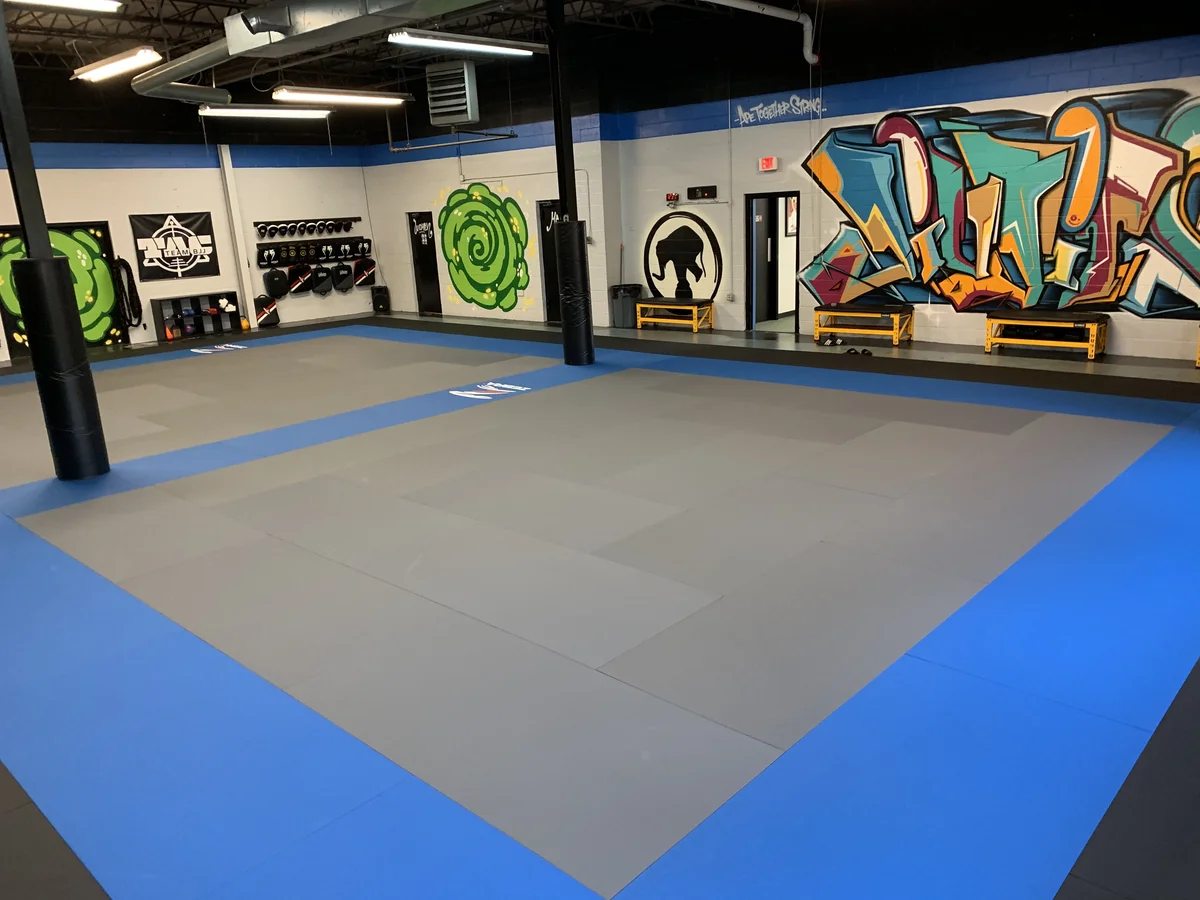 GORILLA BJJ ACADEMY visual