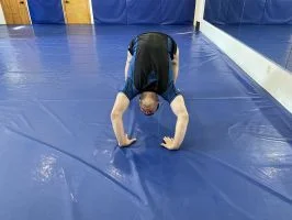 Gracie Jiu-Jitsu - U. S. Family Martial Arts facility image