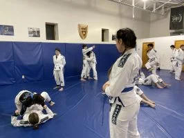 Gracie Jiu-Jitsu - U. S. Family Martial Arts facility image