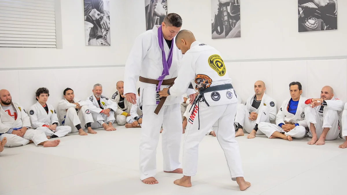 Less Martial, More Art Parsippany Brazilain JiuJitsu facility image