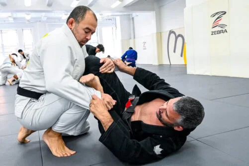 Loftus Jiujitsu Academy academy logo