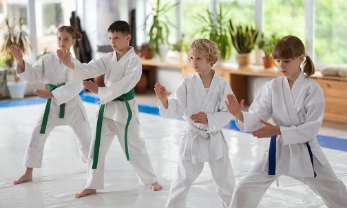 Martial Arts Dojang facility image