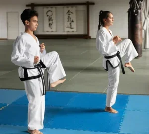 Martial Arts Dojang facility image