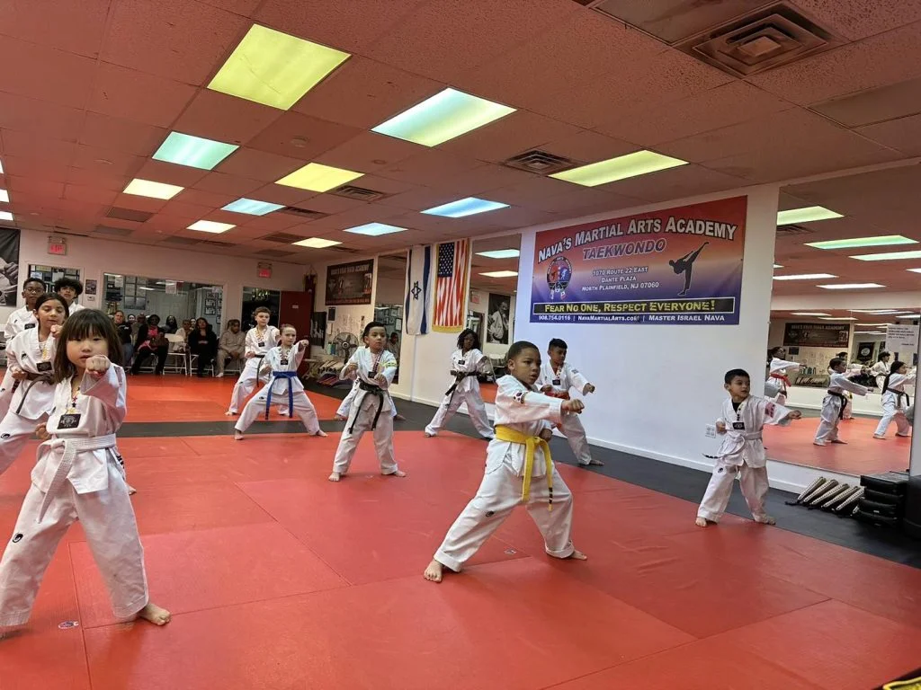 Nava's Martial Arts Academy facility image