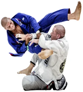 NJ Ronin academy photo