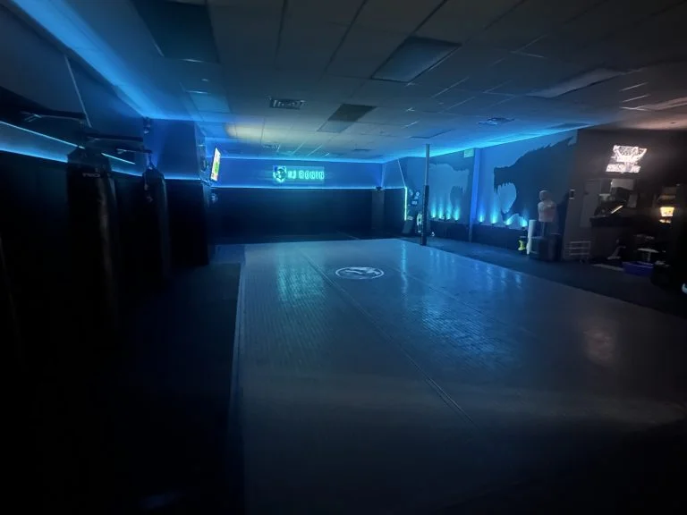 NJ Ronin academy photo