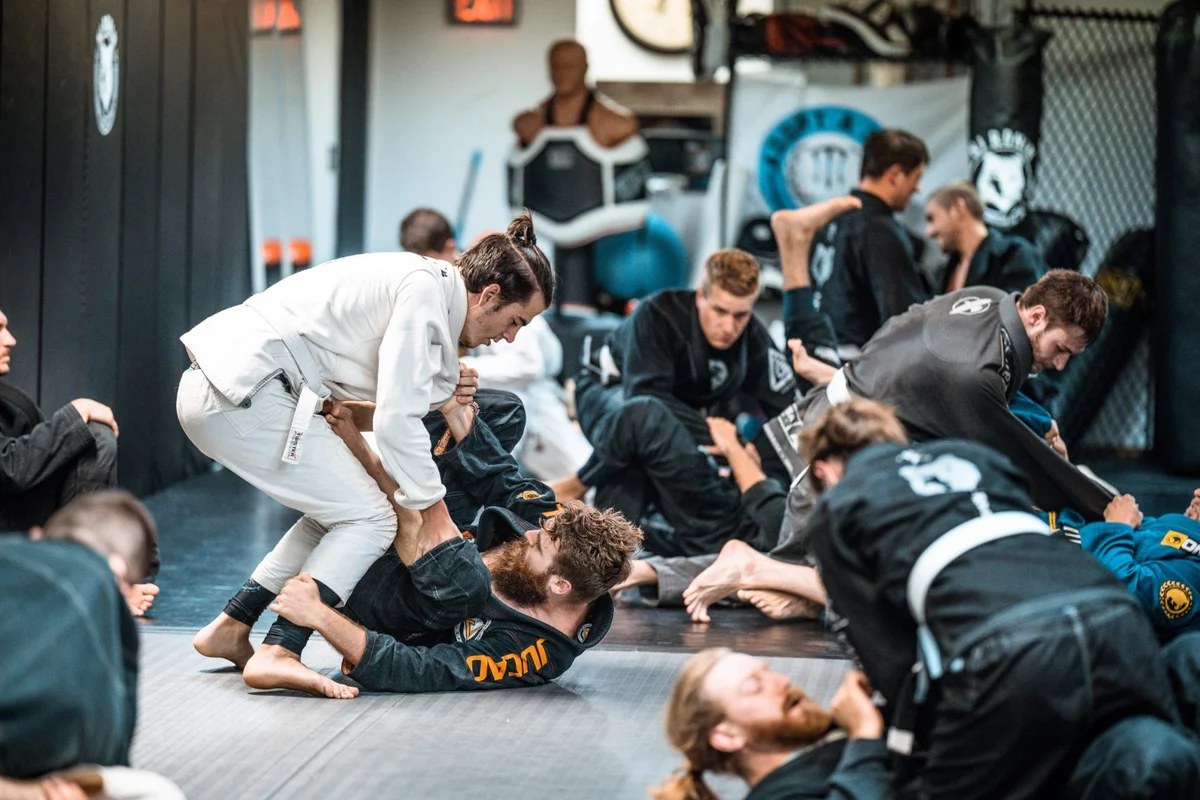 NJ Ronin academy photo