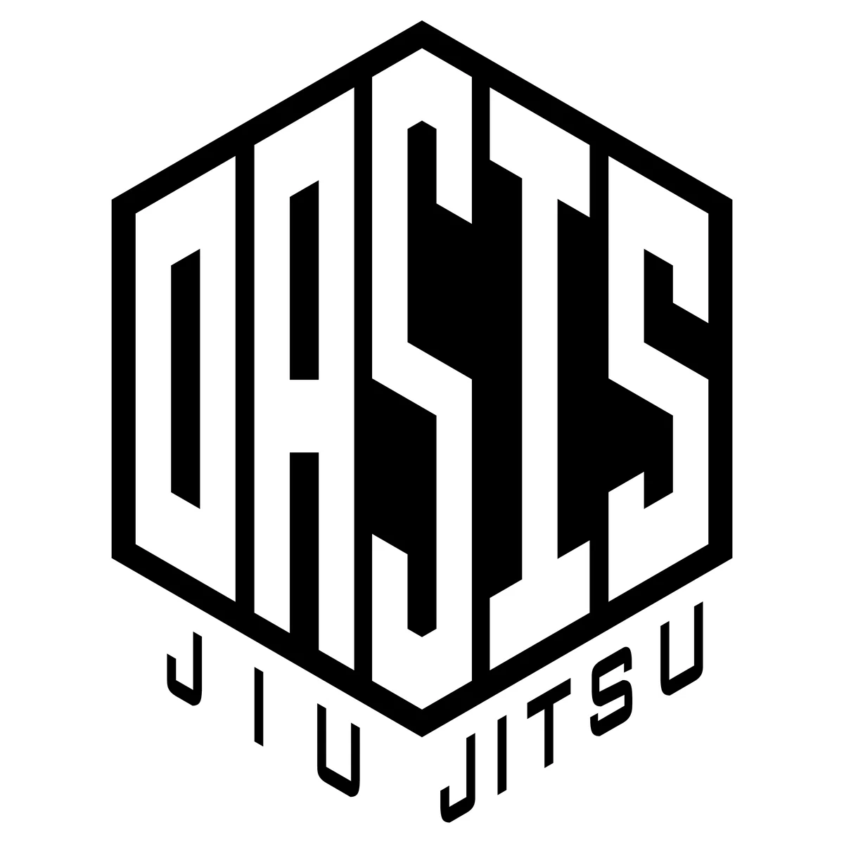 Oasis Jiu Jitsu academy photo