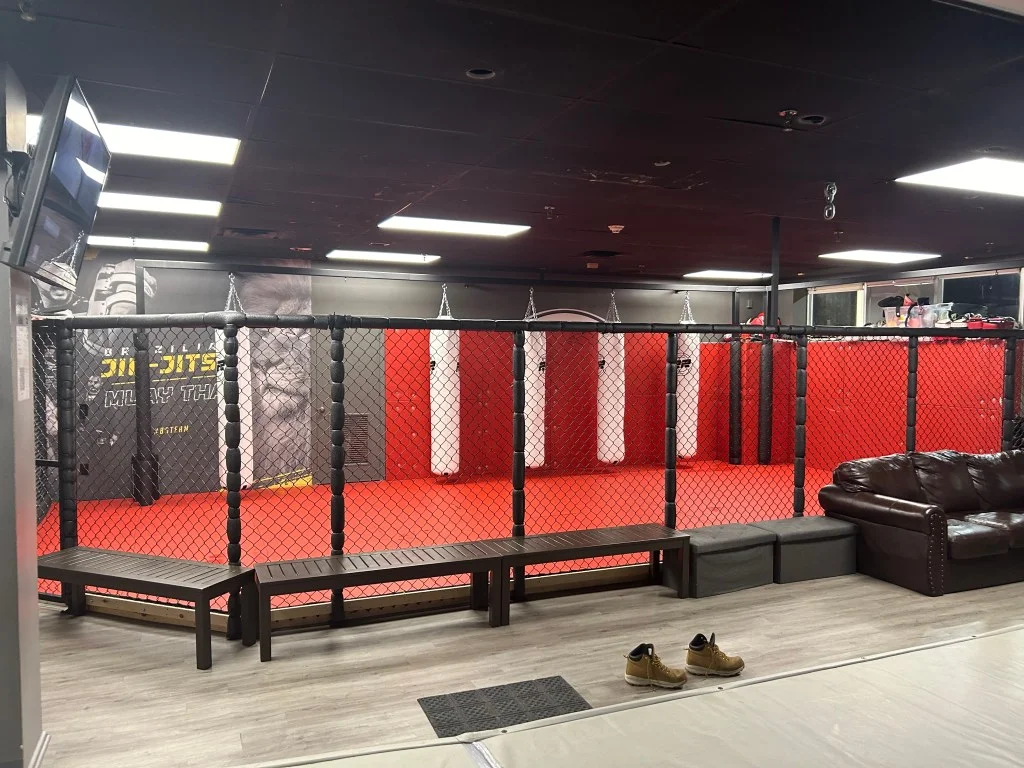 Odyssey Mixed Martial Arts academy photo