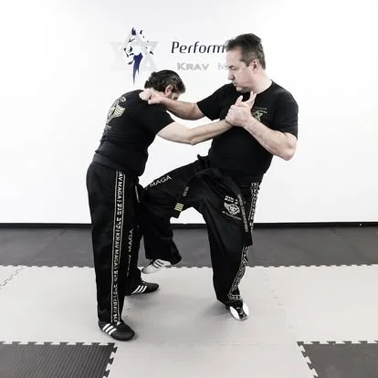 Performance Krav Maga facility image