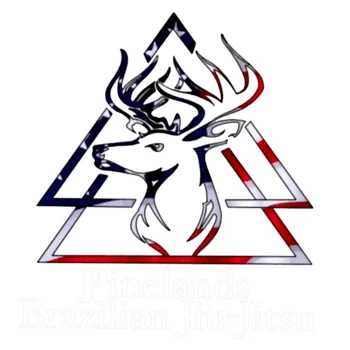 Pinelands Brazilian Jiu-Jitsu – Little Egg Harbor academy photo
