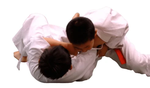 Pinelands Brazilian Jiu-Jitsu – Little Egg Harbor academy photo