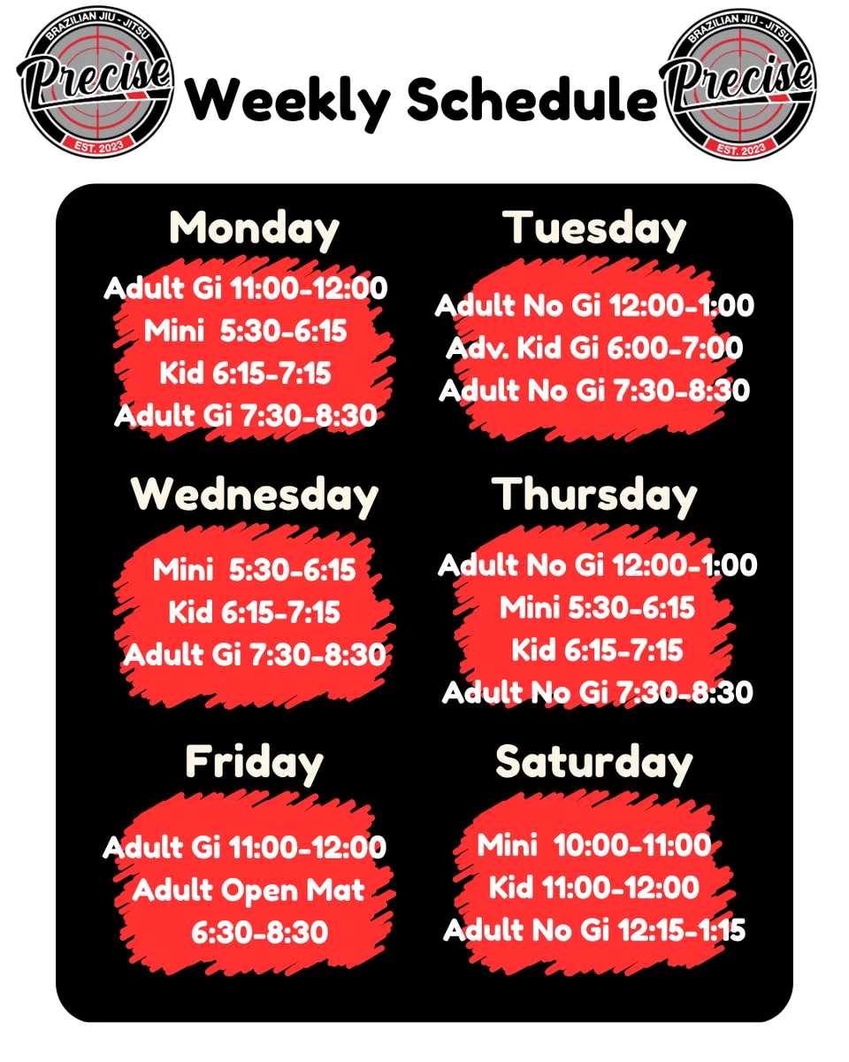 Precise BJJ facility image