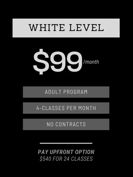 ROLLSTAR Jiu Jitsu Academy facility image