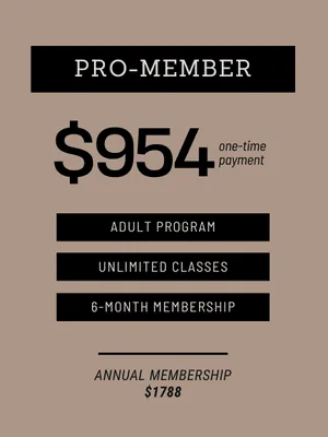 ROLLSTAR Jiu Jitsu Academy facility image