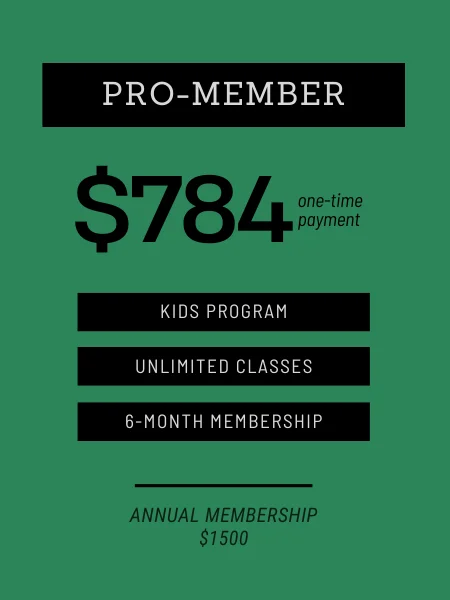 ROLLSTAR Jiu Jitsu Academy facility image