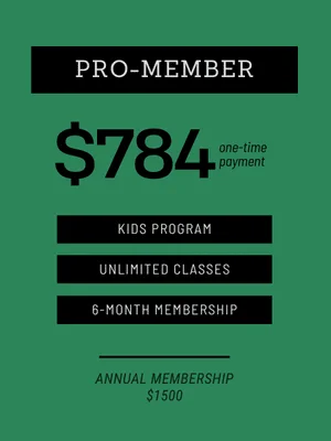 ROLLSTAR Jiu Jitsu Academy facility image