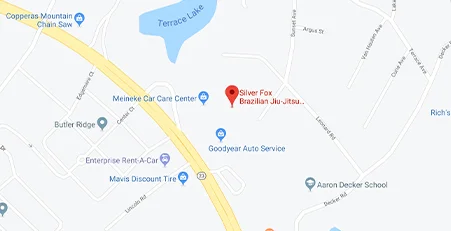 Silver Fox Brazilian Jiu-Jitsu Academy (Silver Fox BJJ) facility image