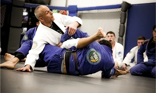 Silver Fox Brazilian Jiu-Jitsu Academy (Silver Fox BJJ) facility image