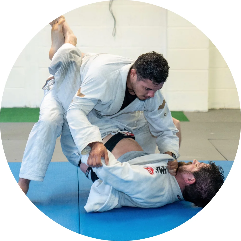 Spartan Mixed Martial Arts visual