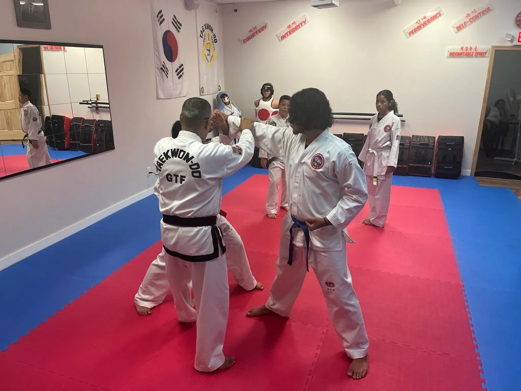 Taekwon-Do Mixed Martial Arts Fitness Academy (T.M.F.A.) academy photo