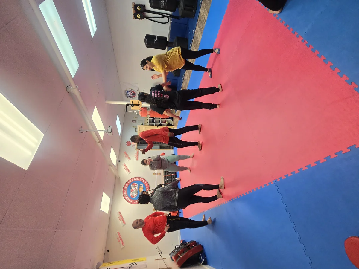 Taekwon-Do Mixed Martial Arts Fitness Academy (T.M.F.A.) academy photo