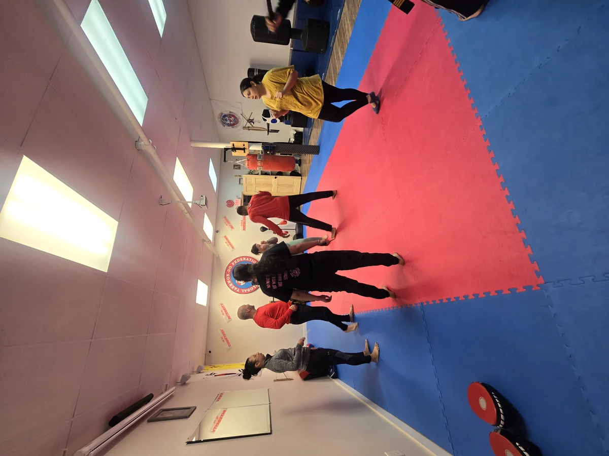 Taekwon-Do Mixed Martial Arts Fitness Academy (T.M.F.A.) academy photo