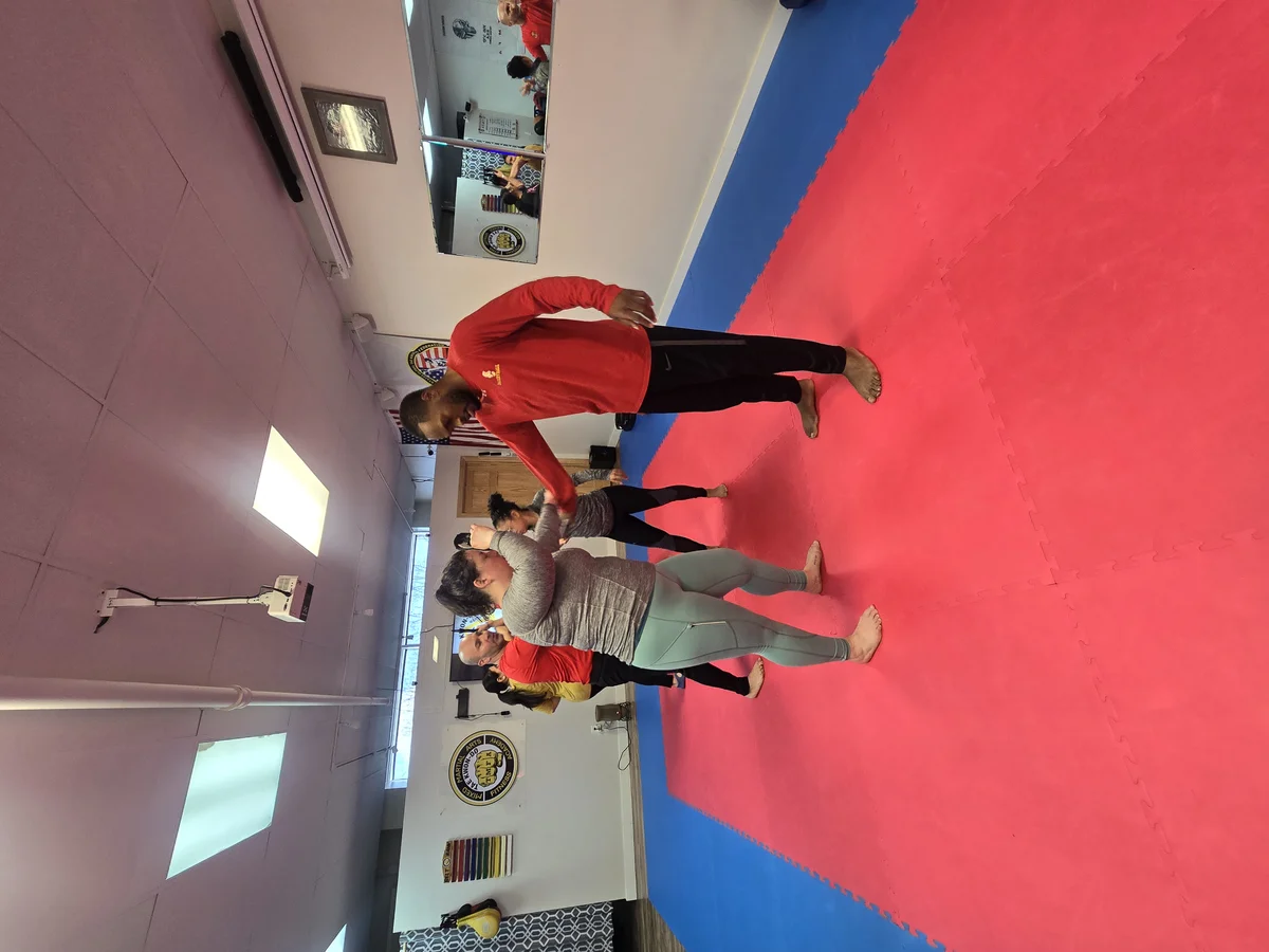 Taekwon-Do Mixed Martial Arts Fitness Academy (T.M.F.A.) academy photo