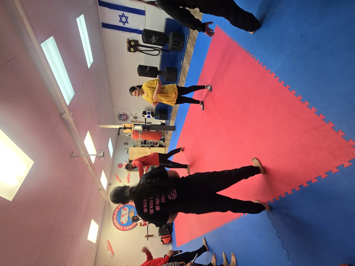 Taekwon-Do Mixed Martial Arts Fitness Academy (T.M.F.A.) academy photo
