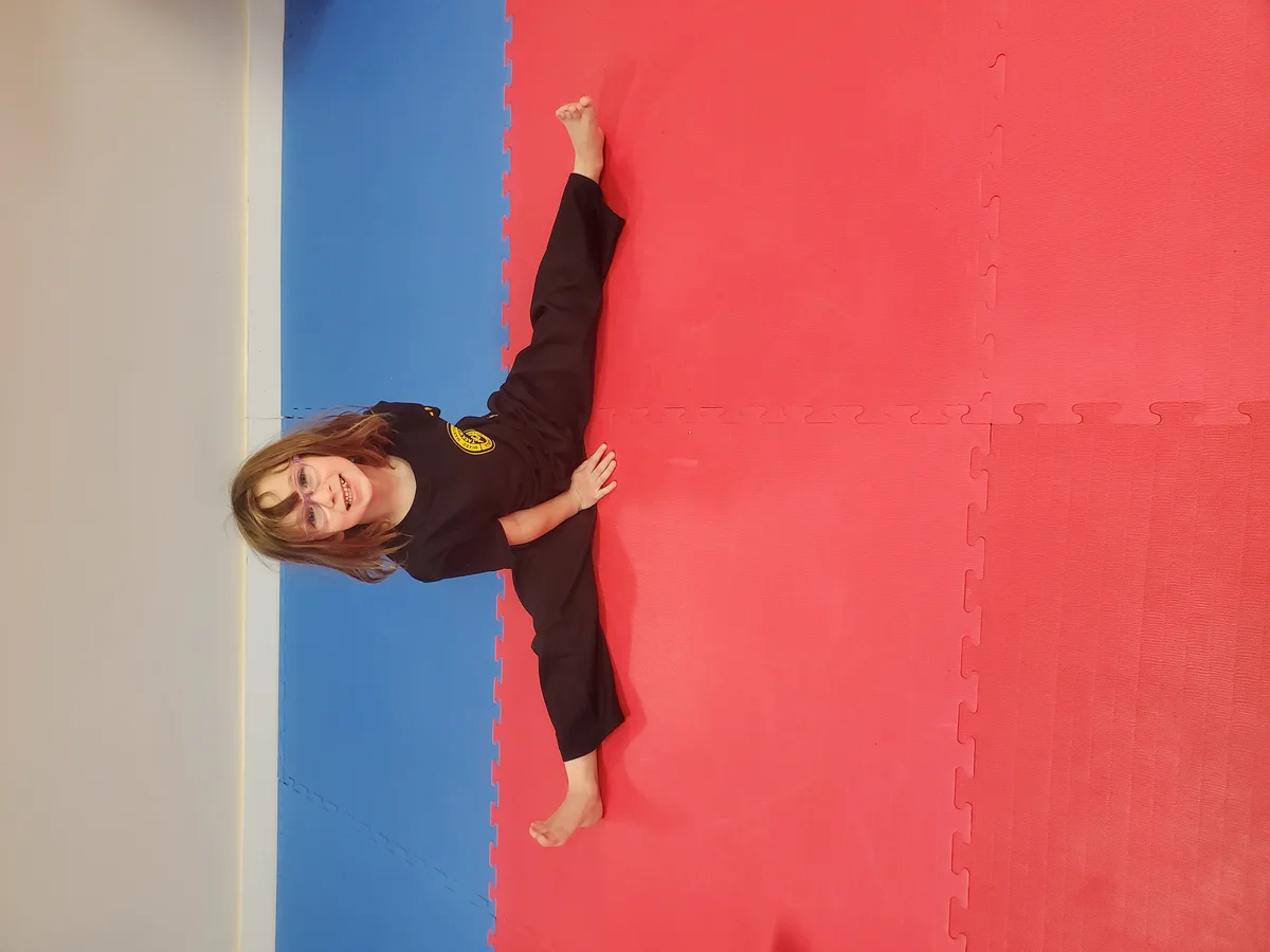 Taekwon-Do Mixed Martial Arts Fitness Academy (T.M.F.A.) academy photo