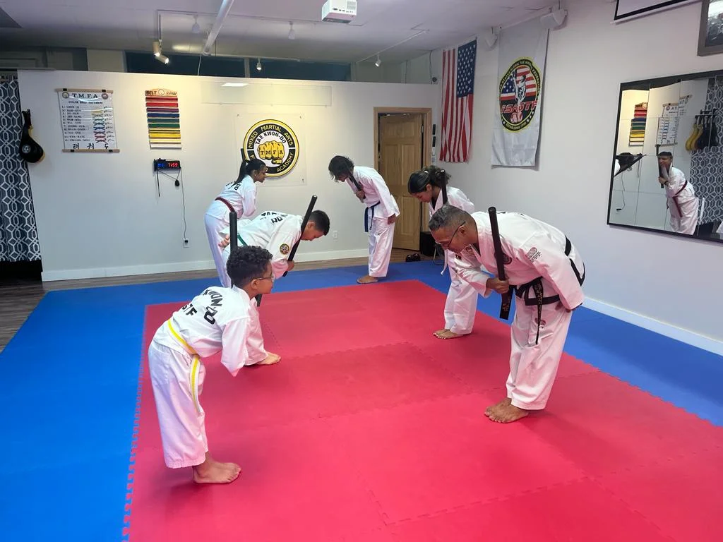 Taekwon-Do Mixed Martial Arts Fitness Academy (T.M.F.A.) academy photo