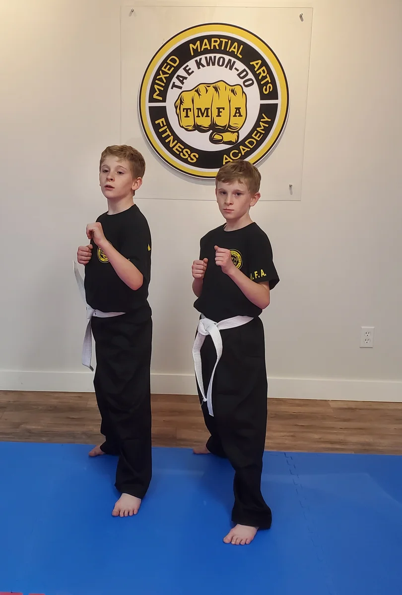 Taekwon-Do Mixed Martial Arts Fitness Academy (T.M.F.A.) academy photo