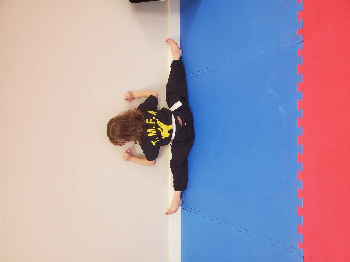 Taekwon-Do Mixed Martial Arts Fitness Academy (T.M.F.A.) academy photo