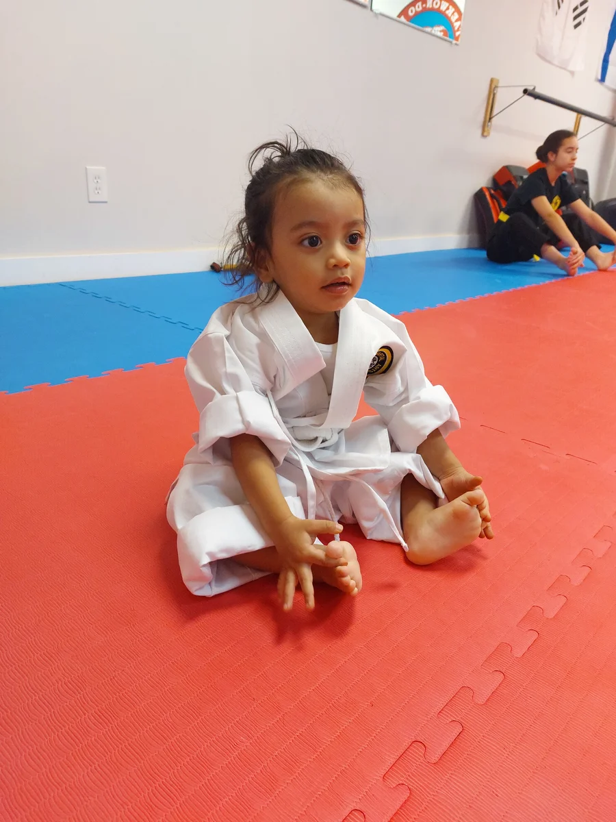 Taekwon-Do Mixed Martial Arts Fitness Academy (T.M.F.A.) academy photo