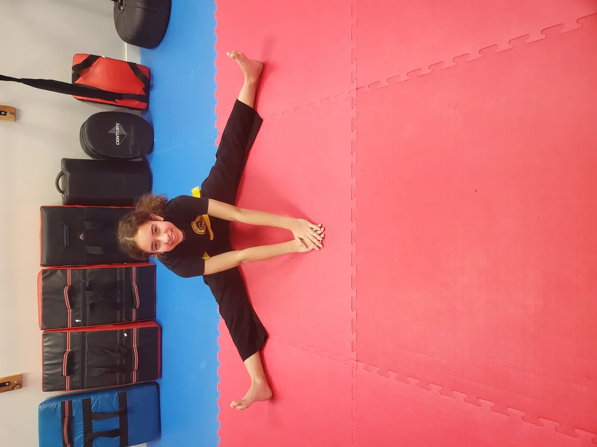 Taekwon-Do Mixed Martial Arts Fitness Academy (T.M.F.A.) academy photo