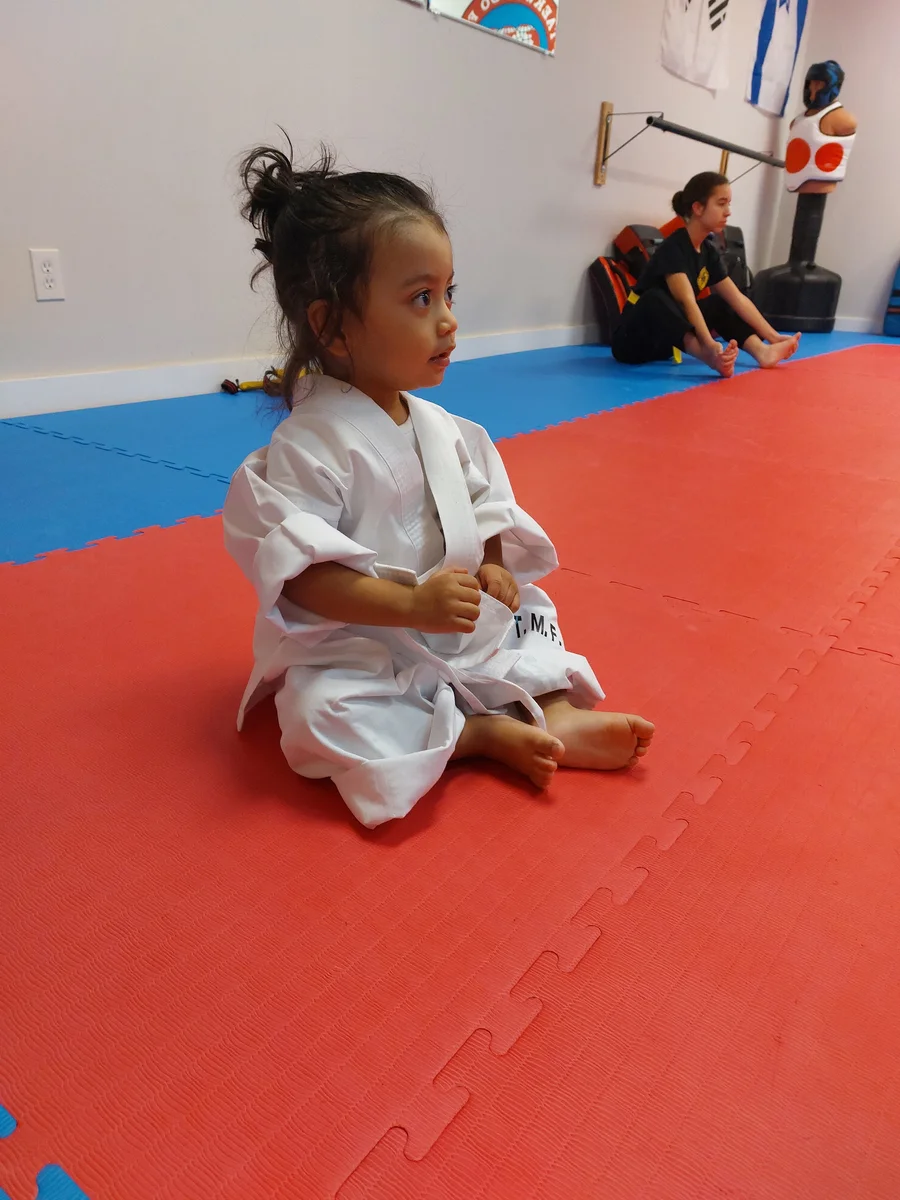 Taekwon-Do Mixed Martial Arts Fitness Academy (T.M.F.A.) academy photo